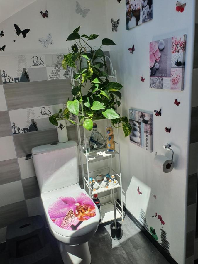 Gite M Et M Nébouzat エクステリア 写真